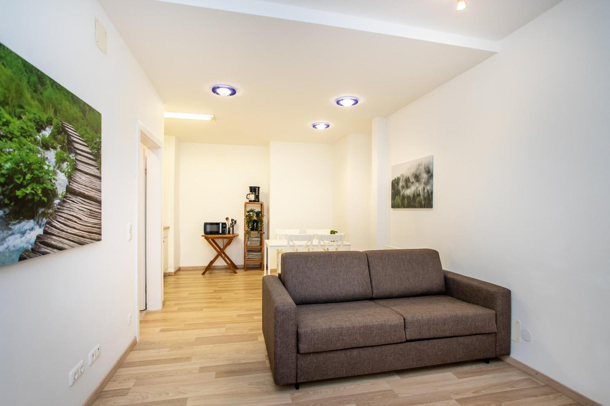 Citycenter Bad Ischl - Studio Apartments Traunkai Pokoj fotografie